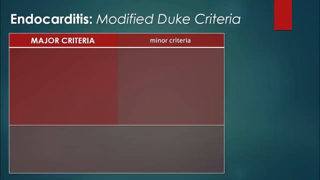Infective Endocarditis: Duke Criteria, Echo Findings & Antibiotic Protocols